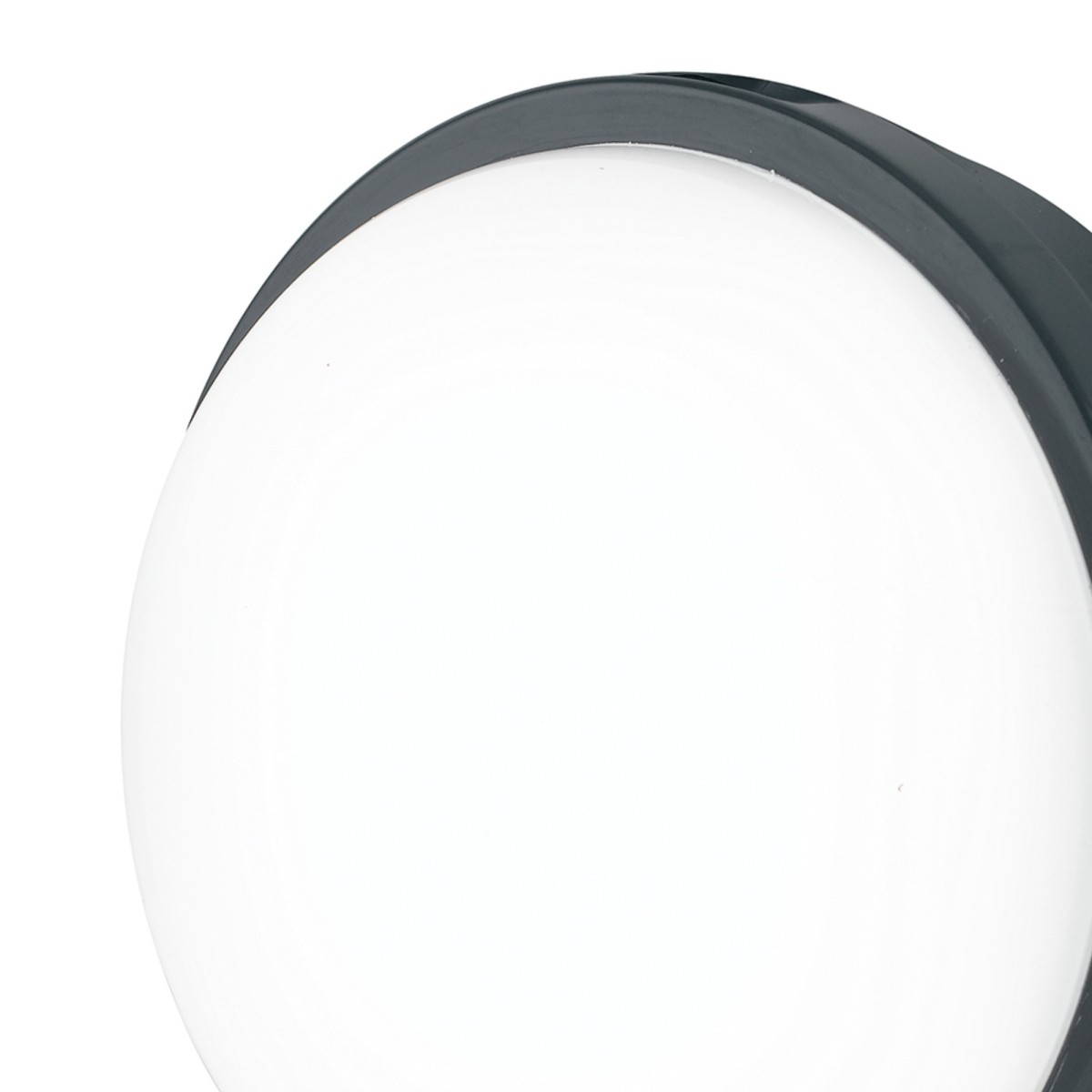 Plafoniera per esterno 20W a led antracite Meg Round