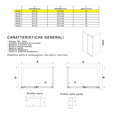 Box doccia 100x70 fume cristallo 8mm fisso piu porta scorrevole