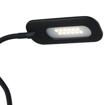 Lampe noire avec lumière LED incluse Darwin FanEurope Line