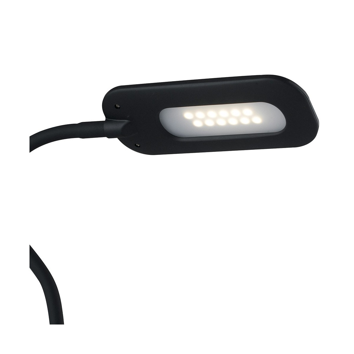 Lampe noire avec lumière LED incluse Darwin FanEurope Line