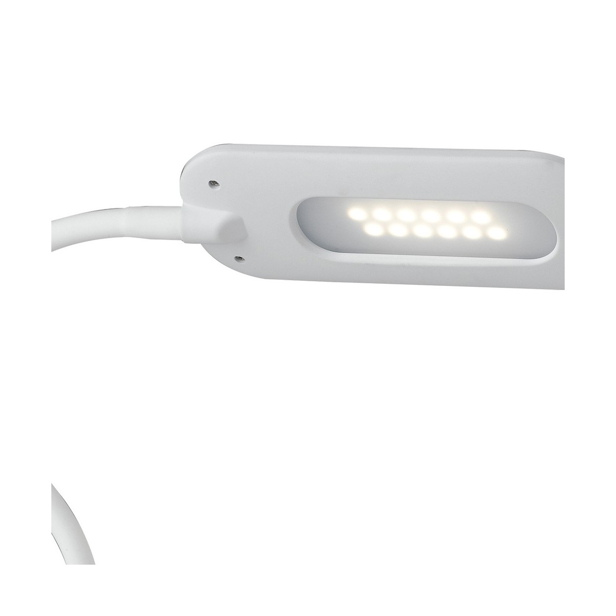 Lume Bianco a Luce Led Linea Darwin FanEurope